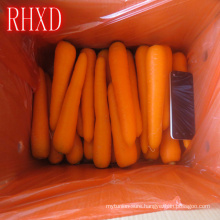 chinese vacuum pack fresh carrots for sale